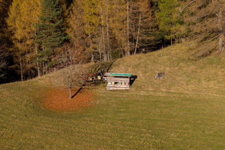 La melata: un dono degli Abeti Bianchi di Cortina