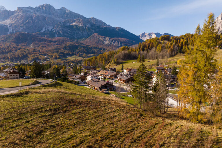 Coltivare i propri sogni: come tutto è iniziato