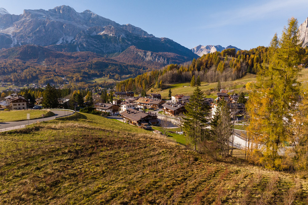 Coltivare i propri sogni: come tutto è iniziato