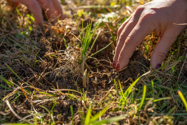 Uomo e ambiente: perché il nostro passato sia il nostro futuro