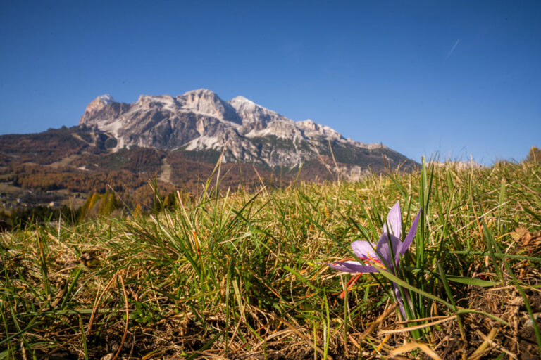 Il rischio è il sale della vita