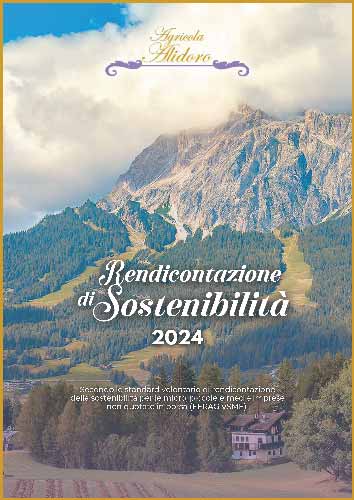 Rendicontazione di Sostenibilità 2024 - Copertina